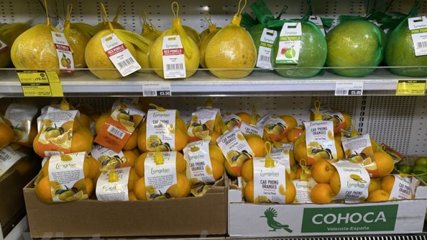 Vietnamese oranges hit the shelves of UK market